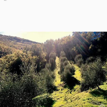 Strada Di Tregole Castellina in Chianti