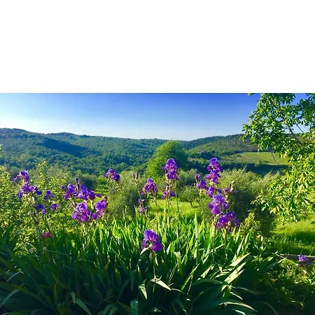 Strada Di Tregole Holiday home *
